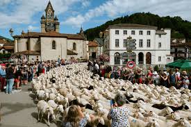 Transhumance de Seix