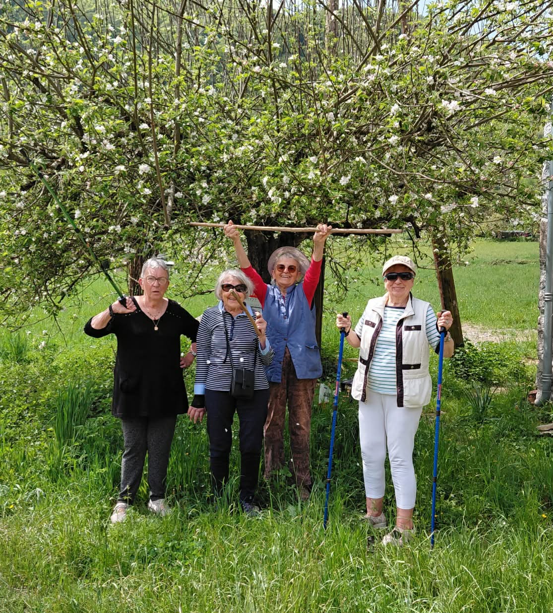 Groupe de marche secteur Ercé